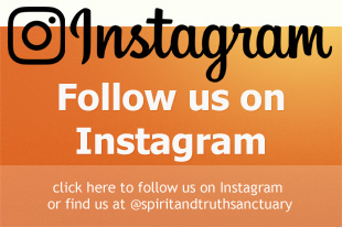 Follow Us On Instagram